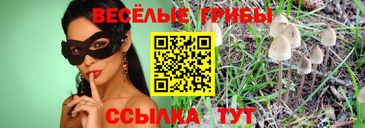Галлюциногенные грибы ЛСД Томск